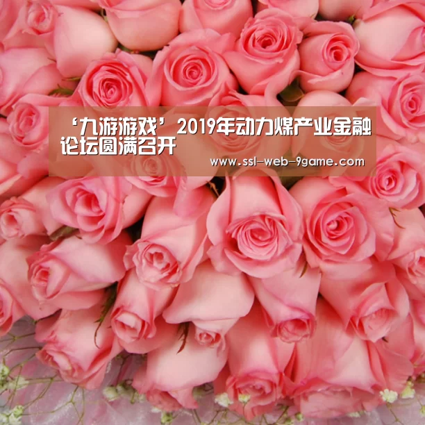 ‘九游游戏’2019年动力煤产业金融论坛圆满召开(图1) 九游APP下载
