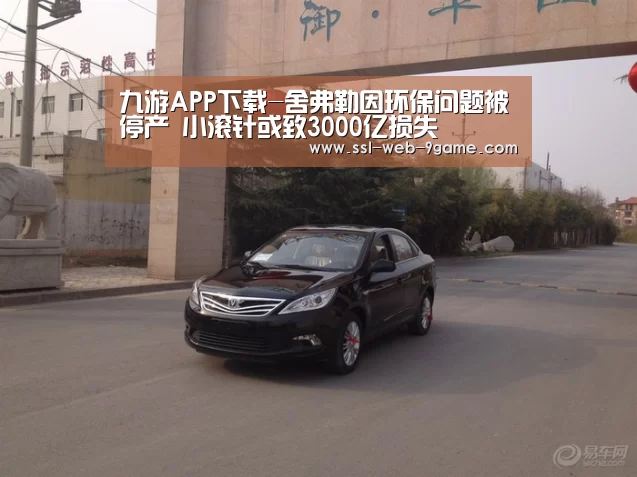 九游APP下载-舍弗勒因环保问题被停产 小滚针或致3000亿损失(图4) 九游官网