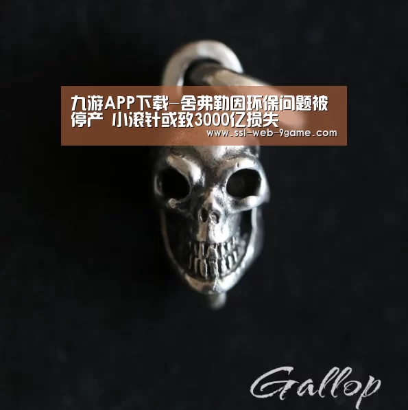 九游APP下载-舍弗勒因环保问题被停产 小滚针或致3000亿损失(图3) 九游APP下载