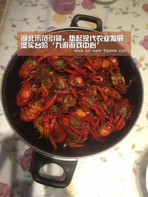 湖北示范引领,垫起现代农业发展坚实台阶‘九游游戏中心’(图1) 九游官网
