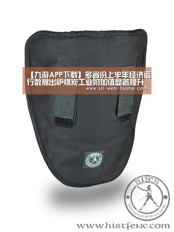 【九游APP下载】多省份上半年经济运行数据出炉煤炭工业附加值显著提升(图1) 九游官网