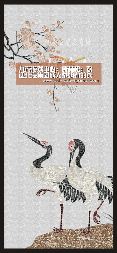 九游游戏中心:康林松:欢迎北汽集团成为戴姆勒的长期投资者(图4) 九游官网