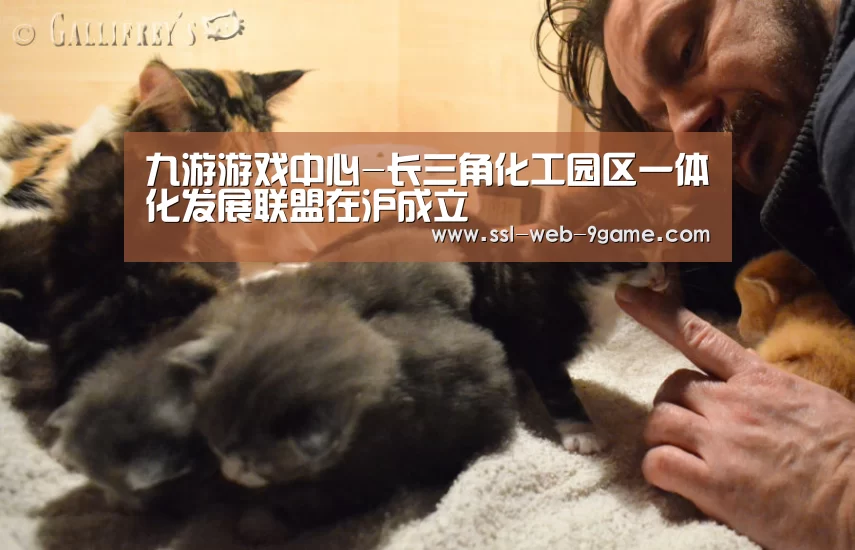 九游游戏中心-长三角化工园区一体化发展联盟在沪成立(图1) 九游官网