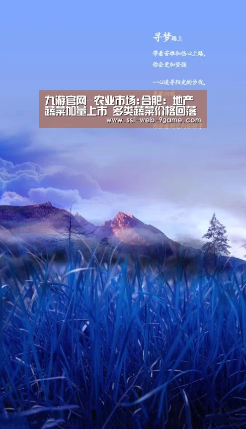 九游官网-农业市场:合肥:地产蔬菜加量上市 多类蔬菜价格回落(图2) 九游官网