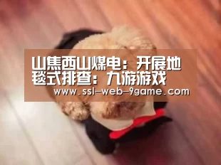 山焦西山煤电:开展地毯式排查:九游游戏(图2) 九游APP下载